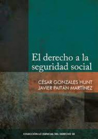 Image of EL DERECHO A LA SEGURIDAD SOCIAL