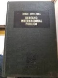 Curso de derecho internacional público